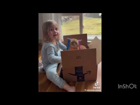 Видео: Смешные видео😂 8 часть🚘