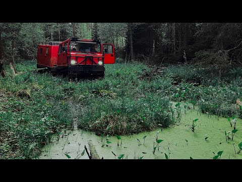 Видео: Нашли дикое Болото на Вездеходе😱 | По следам подготовленных Внедорожников