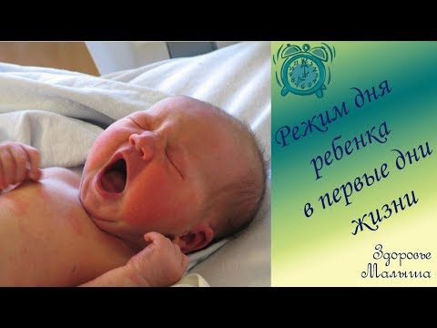 Видео: Режим дня новорожденного ребенка в первые дни жизни