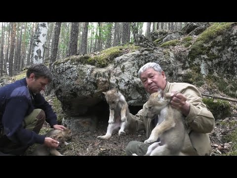 Видео: Заповедники Казахстана. Боровое