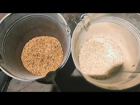 Видео: Как избавиться от поноса у поросят. Секретный способ "как не убирать навоз в сарае"