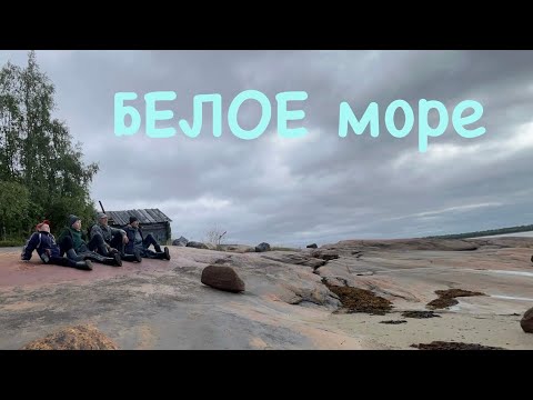 Видео: 1 ноября 2024 г.