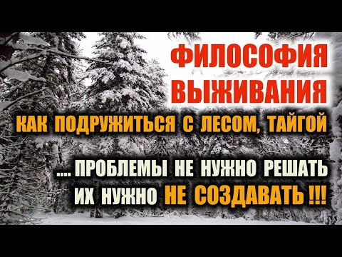 Видео: ВЫЖИВАНИЕ В ЛЕСУ ТАЙГЕ Как привыкнуть к лесу, как избежать проблем в начале и потом Forest survival