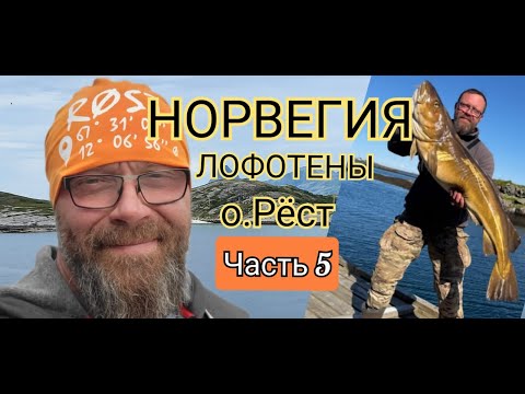 Видео: Рыбалка в Норвегии. Лофотены. о.Рёст серия 5