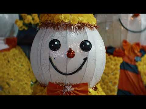 Видео: макулатура — гимнаст