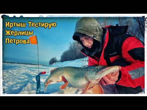 Видео: Иртыш  Рыбалка на Жерлицы  Ловля щуки и Судака в конце Января. Тестирую жерлицы Петрова.