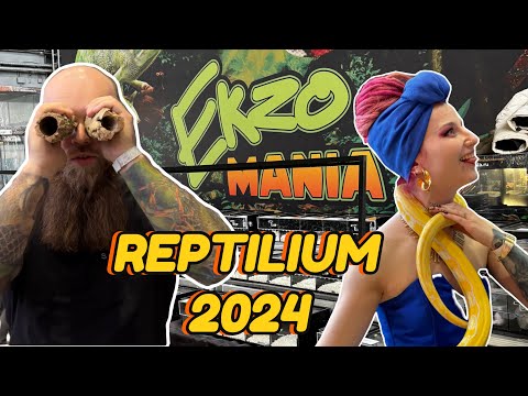 Видео: Выставка Рептилиум в Санкт-Петербурге. Весна 2024.