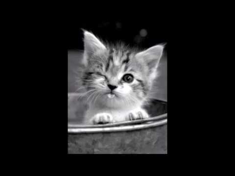 Видео: Как найти неизвестное в формулах по физике. Часть 4