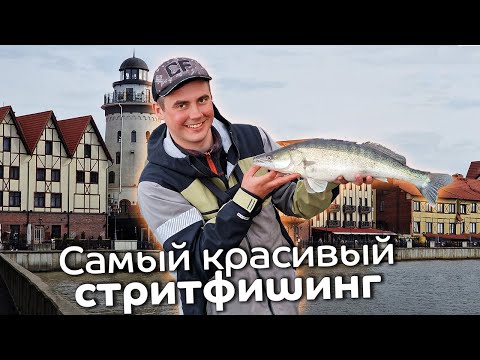 Видео: Самая красивая рыбалка в городе / Судак и окунь весной на спиннинг c берега / Рыбалка в Калининграде