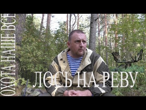 Видео: Как и чем правильно вабить лося. Бык на гону.