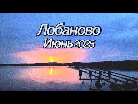 Видео: Карпфишинг в Казахстане. Лобаново,Жукей или Шалкар?
