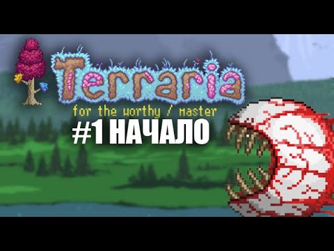 Видео: ЗАПУСКАЕМ СЕРВЕР | КООП | FOR THE WORTHY | MASTER | TERRARIA