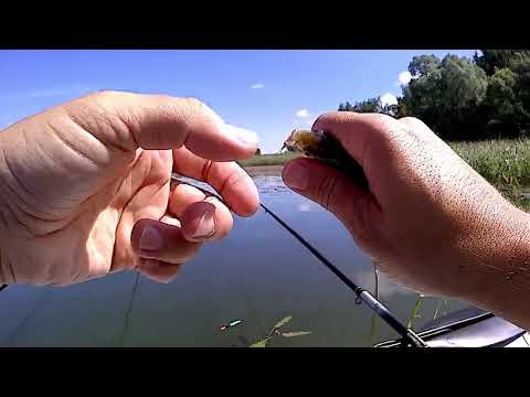 Видео: Рыбалка с лодки, рыба клюёт без остановки. Истринское водохранилище.