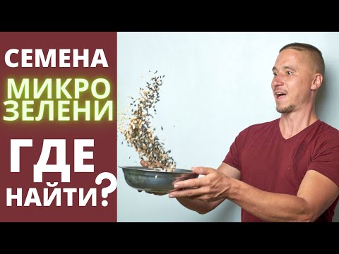 Видео: семена микрозелени миф ?   как их искать ? Секреты от Зеленого шефа  микрозелень дома