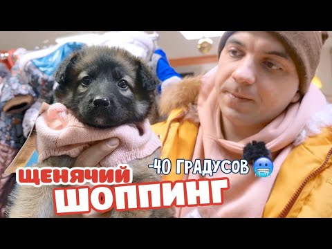 Видео: Щенячий ШОППИНГ! Дикие морозы Сибири.