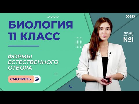 Видео: Формы естественного отбора. Видеоурок 9. Биология 11 класс