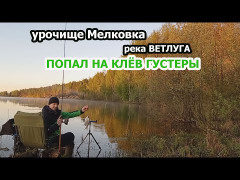 Видео: РЫБАЛКА НА РЕКЕ ВЕТЛУГА ВЕСНОЙ В МАЕ С НОЧЕВОЙ, УРОЧИЩЕ МЕЛКОВКА,МАРИЙ ЭЛ