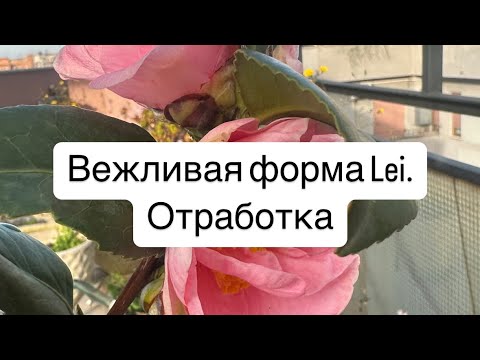 Видео: Итальянский язык. Вежливая форма Lei. Отработка. Плейлист.