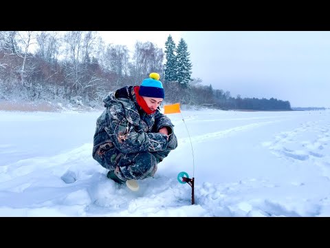 Видео: СУДАК и ПОДЛЕЩИК на Рузе. Рыбалка в коряжнике.
