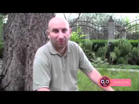 Видео: Сатья дас - ШБ 1.7.37 Зеркало кармы