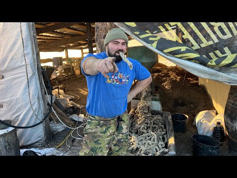 Видео: Экструдер зерновой !