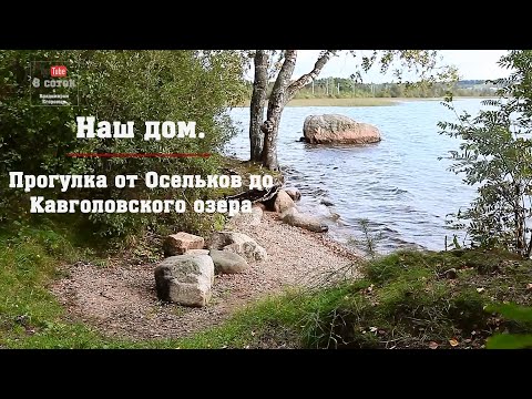 Видео: Наш дом. Прогулка от Осельков до Кавголовского озера.