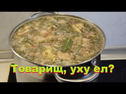 Видео: УХА из головы толстолобика (2кг)! Наваристая, вкусная! Секретная!