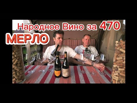 Видео: Хорошее недорогое вино Мерло Гай-Кодзор vs Усадьба Мезыбь. Авторское вино Мерло от Честного Винодела