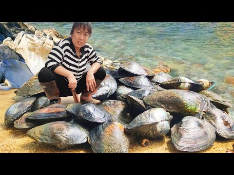 Видео: Засуха приближается. Мы не сможем справиться с таким количеством жемчужных устриц.