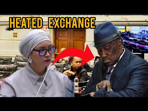 Видео: Напряженный момент: Беки Селе устроил дебаты в парламенте с депутатом партии ActionSA