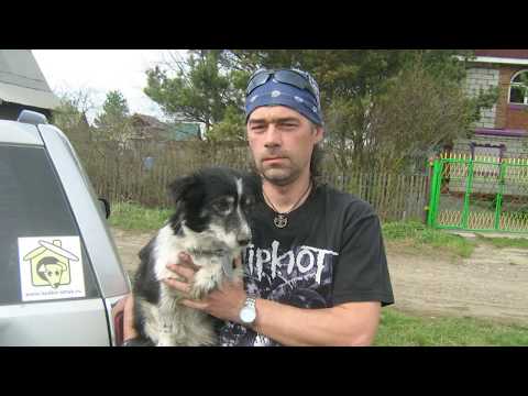 Видео: Памяти друга,посвящается....