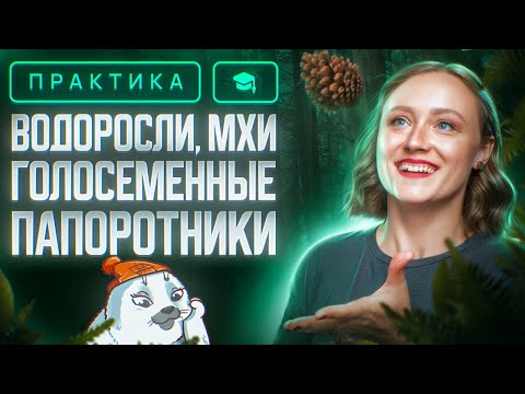 Видео: Водоросли, мхи. Папоротники, голосеменные | ЕГЭ-2025 по биологии