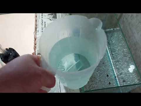 Видео: Слил мальков тернеции. Поместил жемчужных гурами на нерест.