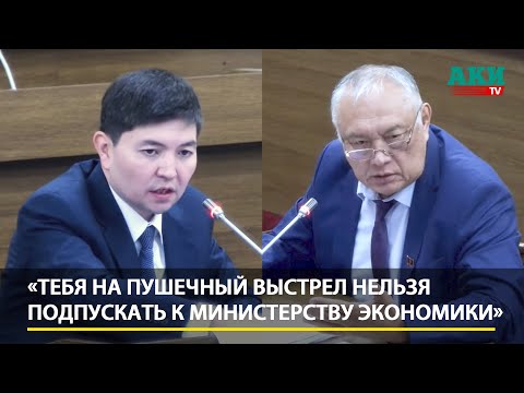 Видео: «Ты мне тут голос не повышай, сидишь тут и хамишь!» Депутат отругал замминистра экономики