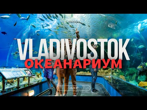 Видео: Приморский Океанариум во Владивостоке. Очень красиво, много  рыб, осьминоги, пингвины!