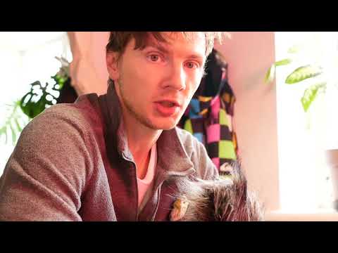 Видео: Продуктивный понедельник: персональные данные (за десятый кофе в подарок)