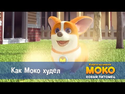 Видео: Корги по имени Моко. Новый питомец - Серия 1.Как Моко худел - Премьера мультфильма