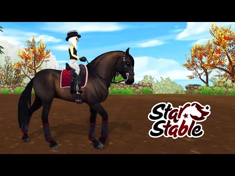 Видео: ВЕЛИКОЛЕПНЫЕ ПАСО ФИНО | ПОКУПКА И ОБЗОР | STAR STABLE