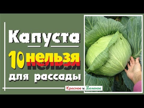 Видео: 10 НЕЛЬЗЯ для рассады КАПУСТЫ