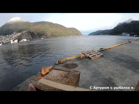 Видео: Как поймать леща в Норвегии. Я возьму говяжий