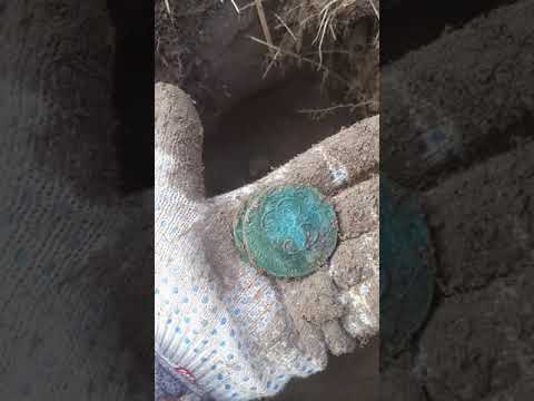 Видео: Нашел клад Екатерининских пятаков.