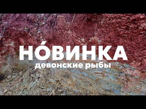Видео: НОВИНКА | в слоях девона 