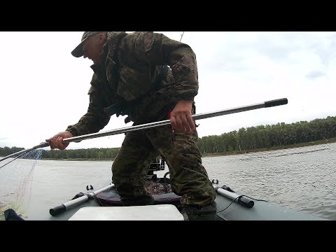 Видео: Непогода рыбе не помеха!Обская протока дает жару!
