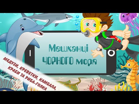 Видео: Мешканці Чорного моря (медузи, краби, креветки, камбала, риба голка). Риби Чорного моря. Дітям.