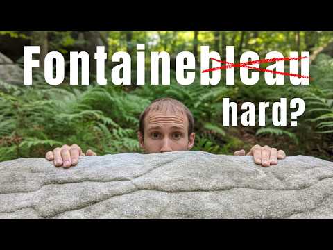 Видео: Действительно ли так сложно заниматься боулдерингом в Фонтенбло? (День в лесу)