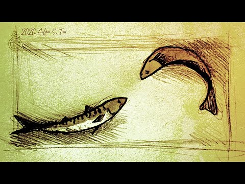 Видео: Тэм-Колыбельная (Padak)