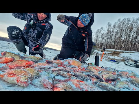 Видео: ДВА ГОДА ИСКАЛ ТАКУЮ РЫБАЛКУ! Крупные лопаты на тяжелые мормышки! Нарвались на стаю леща!