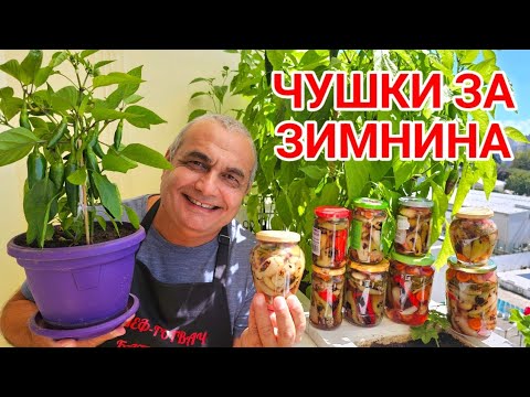 Видео: Люти чушки Трикольор за зимата! Зимнина за люти приключения!
