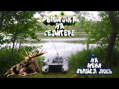 Видео: Рыбалка//Селигер 2022 Два Юрца Храбреца #1