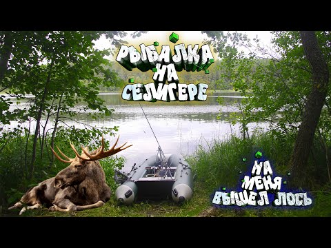 Видео: Рыбалка//Селигер 2022 Два Юрца Храбреца #1